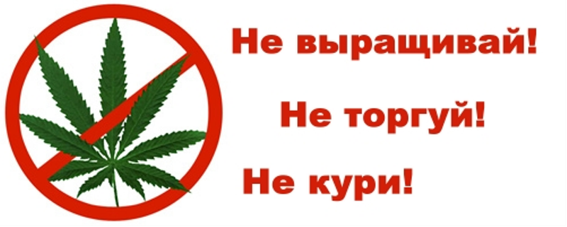 Ответственность за непринятие мер по уничтожению дикорастущих растений, включенных в перечень наркотических средств и дикорастущей конопли.